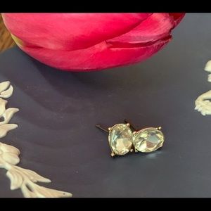 NWOT Oval Multifaceted Crystal Earrings